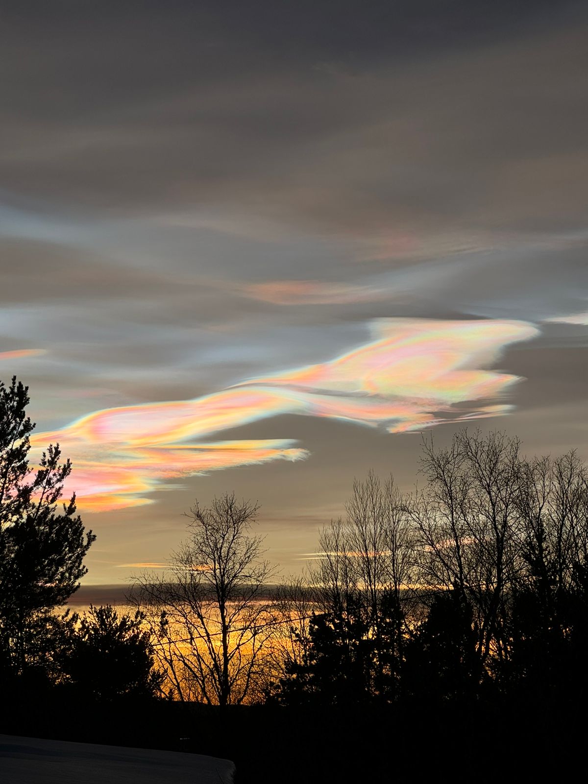 nubes polares