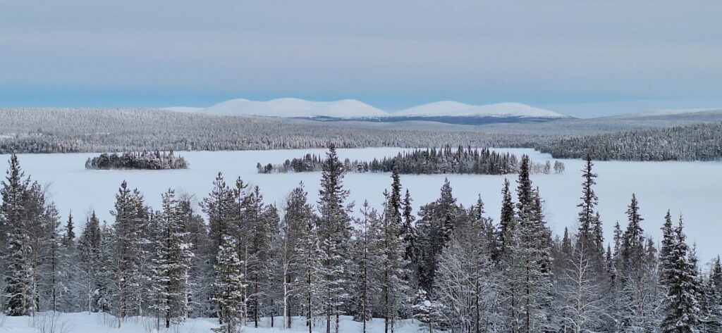 Frozen lake and Forest in Lapland in Muonio, an area affected by the polar night and the midnight sun. it's habitants are used to living without night or days
